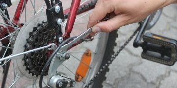 Raz w roku do serwisu…