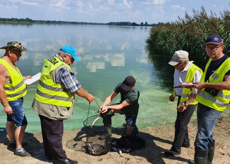 Miasto kontra Mostostal. Kto wygrał?