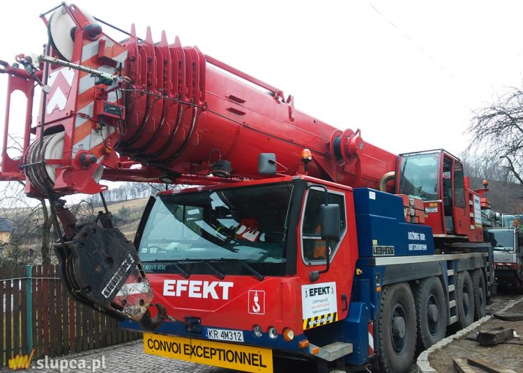 Dźwig na wynajem – najlepsze i najbezpieczniejsze dźwigi w Krakowie?