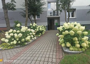 Chyba jest ładnie? Niech tak zostanie