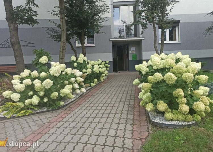 Chyba jest ładnie? Niech tak zostanie