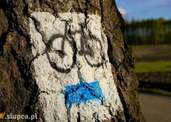 Zapraszają na rajd Puszczykowo-Szreniawa 2020