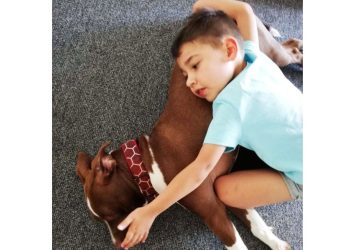 Żeglarze dla Stasia