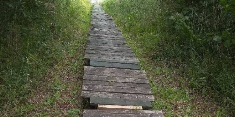 Weryfikują legalność pomostów