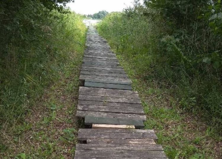 Weryfikują legalność pomostów