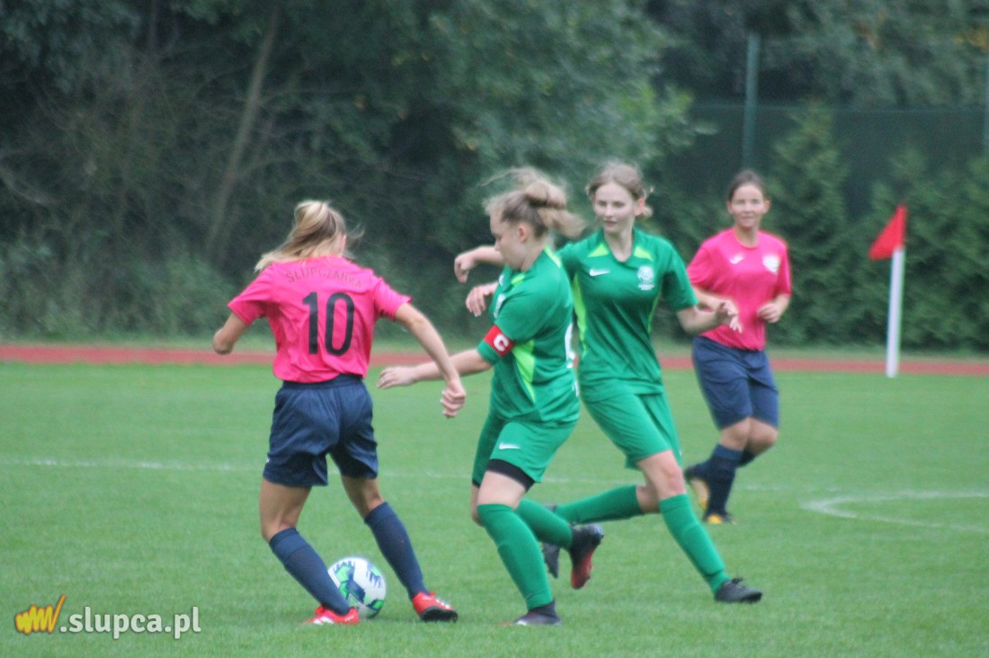 Pierwsze śliwki robaczywki…