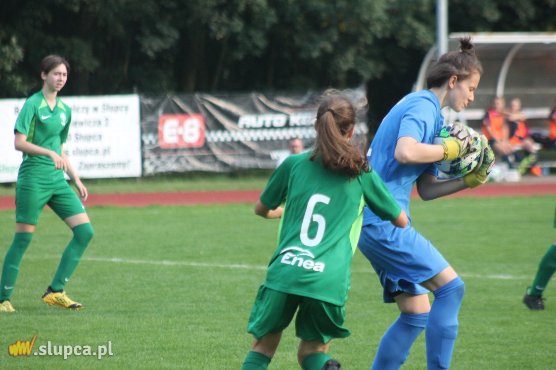 Pierwsze śliwki robaczywki…