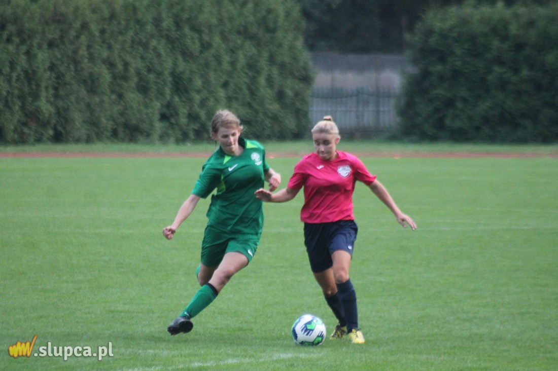 Pierwsze śliwki robaczywki…