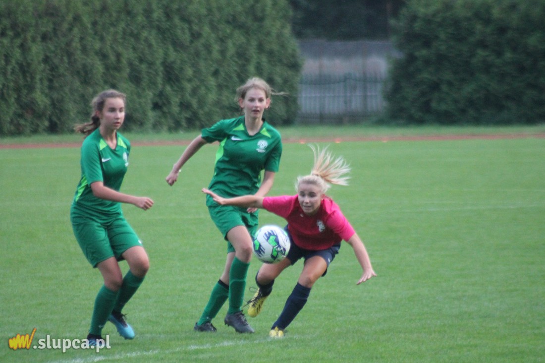 Pierwsze śliwki robaczywki…