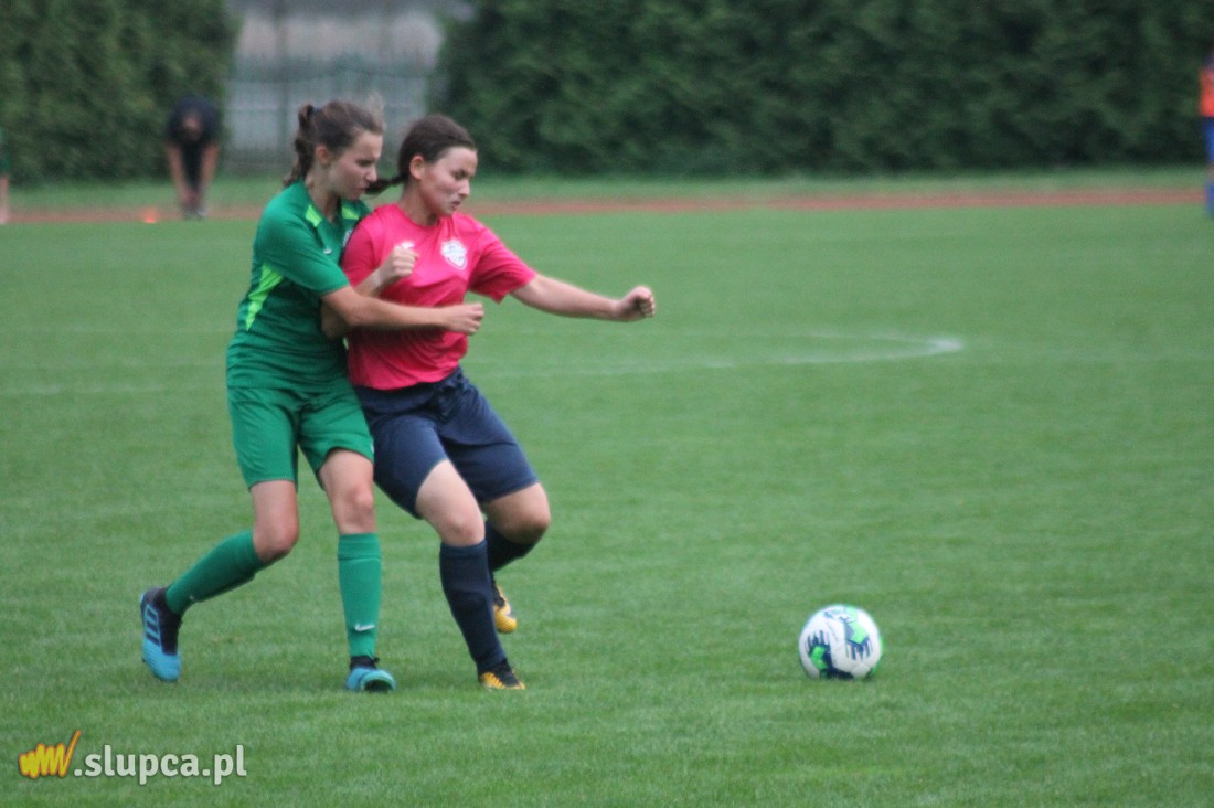 Pierwsze śliwki robaczywki…