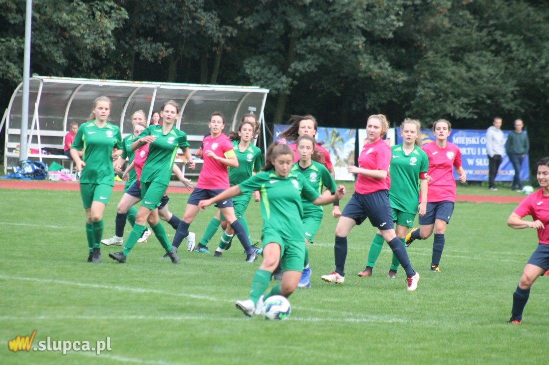 Pierwsze śliwki robaczywki…