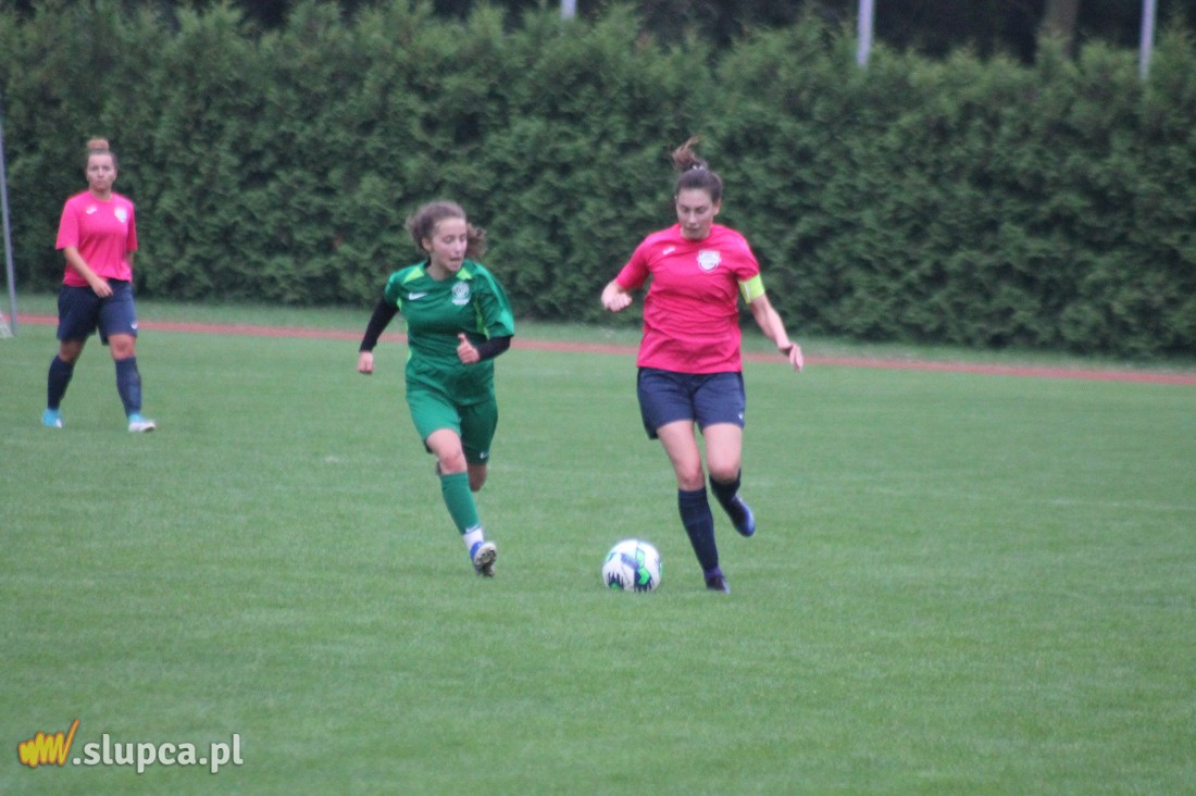 Pierwsze śliwki robaczywki…