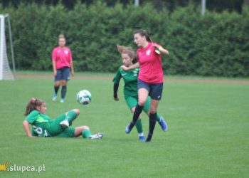 Pierwsze śliwki robaczywki…