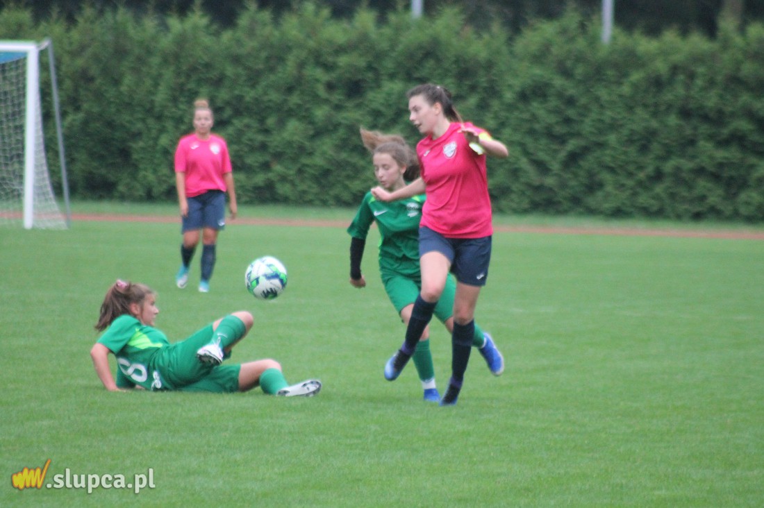 Pierwsze śliwki robaczywki…