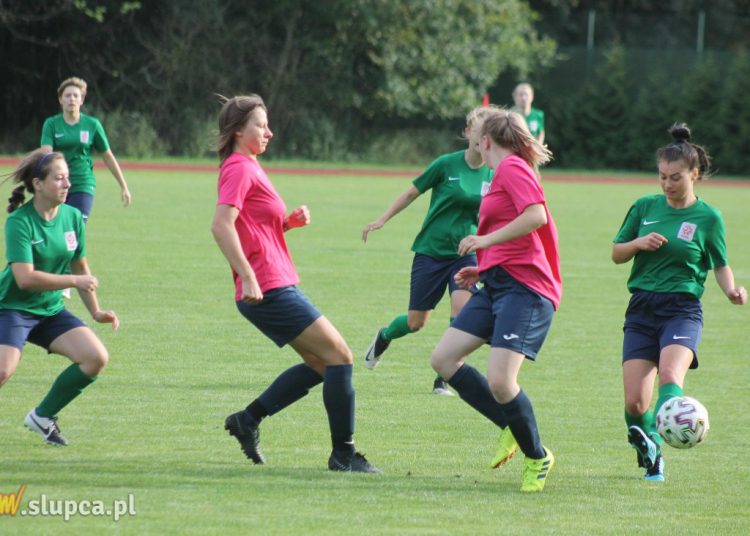 Domowy punkt Słupczanki