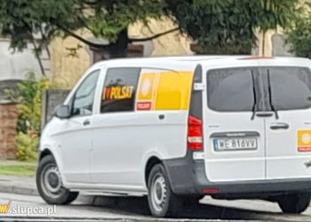 O Drzewcach w Polsacie. Znamy termin emisji