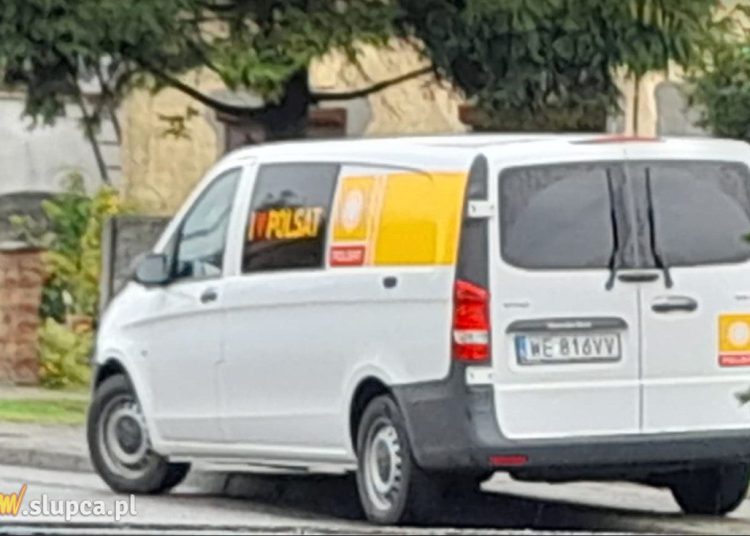 O Drzewcach w Polsacie. Znamy termin emisji