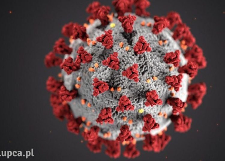Kolejny zarażony w Powidzu