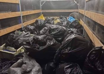 Uprzątnęli brzeg Jeziora Powidzkiego