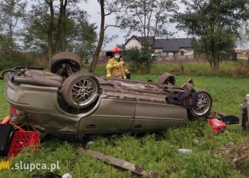 Dachowanie w Michałowie ZDJĘCIA