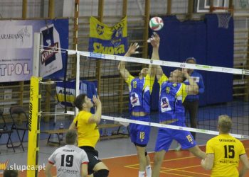 Kompleks Wilków trwa