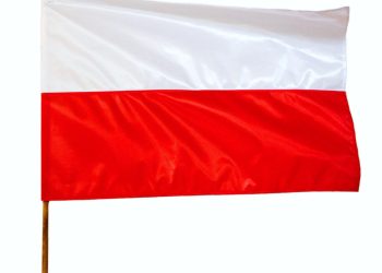 Przyłącz się do akcji z ZSP w Kotuni