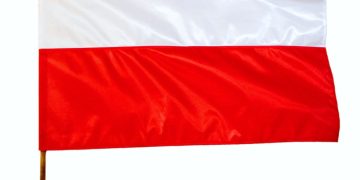 Przyłącz się do akcji z ZSP w Kotuni