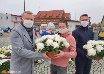 Rozdawali mieszkańcom chryzantemy