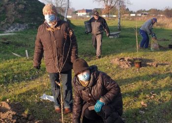 Posadzili Dębową Aleję Pamięci