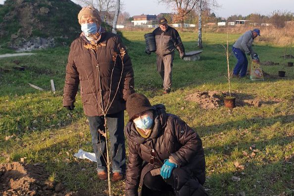 Posadzili Dębową Aleję Pamięci