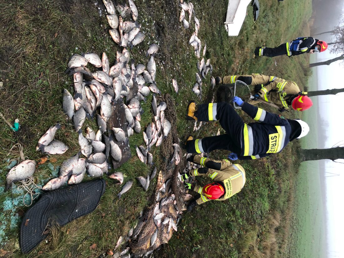 Wypadek na K92. Najbardziej ucierpiały… ryby ZDJĘCIA