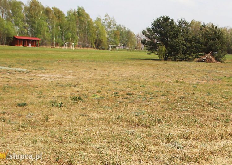 Prezes stowarzyszenia Michałki: Nie będę się wypowiadać