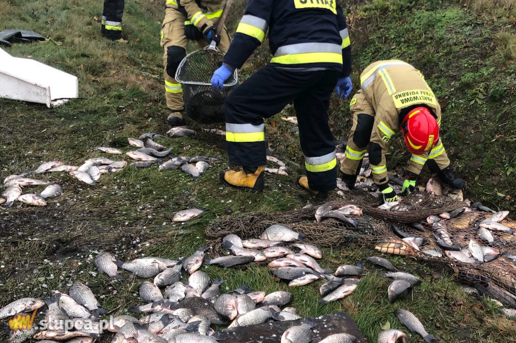 Wypadek na K92. Najbardziej ucierpiały… ryby ZDJĘCIA