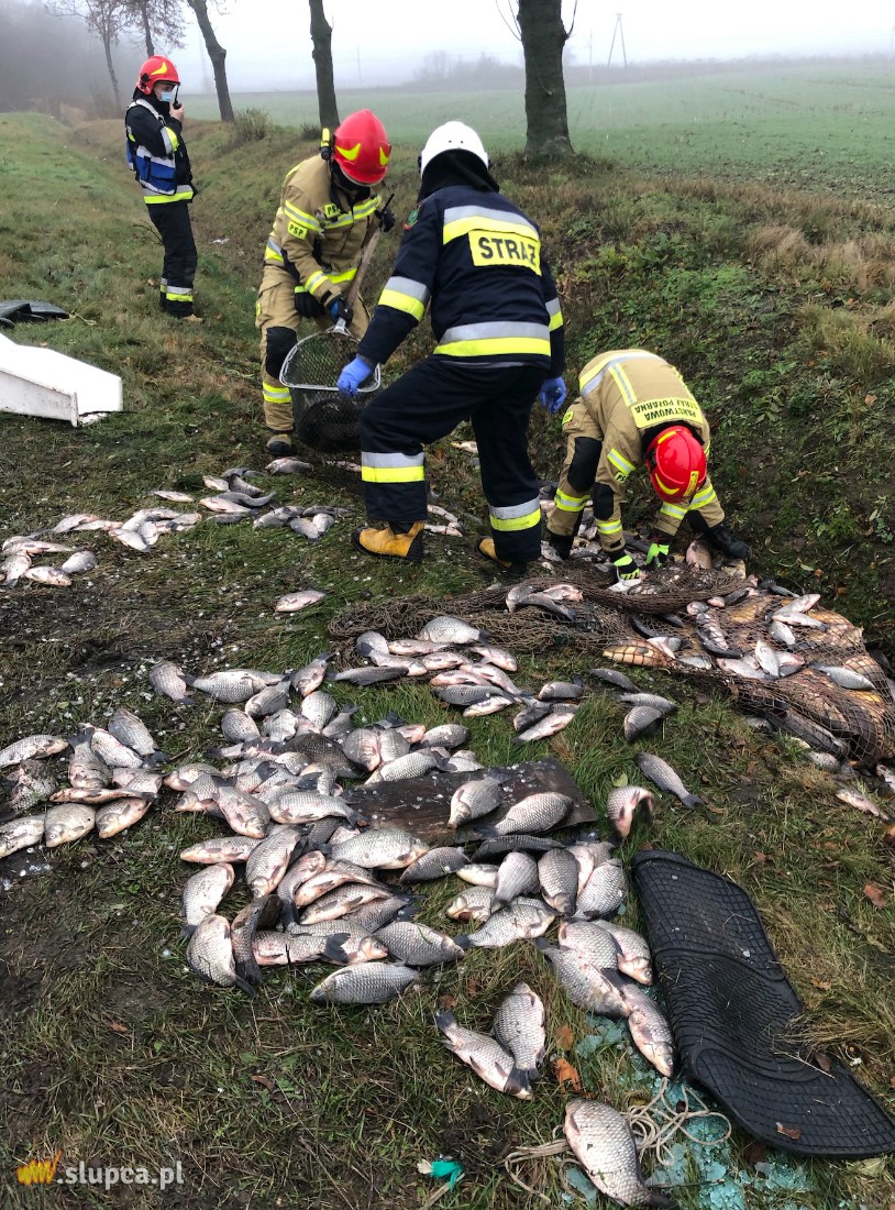Wypadek na K92. Najbardziej ucierpiały… ryby ZDJĘCIA