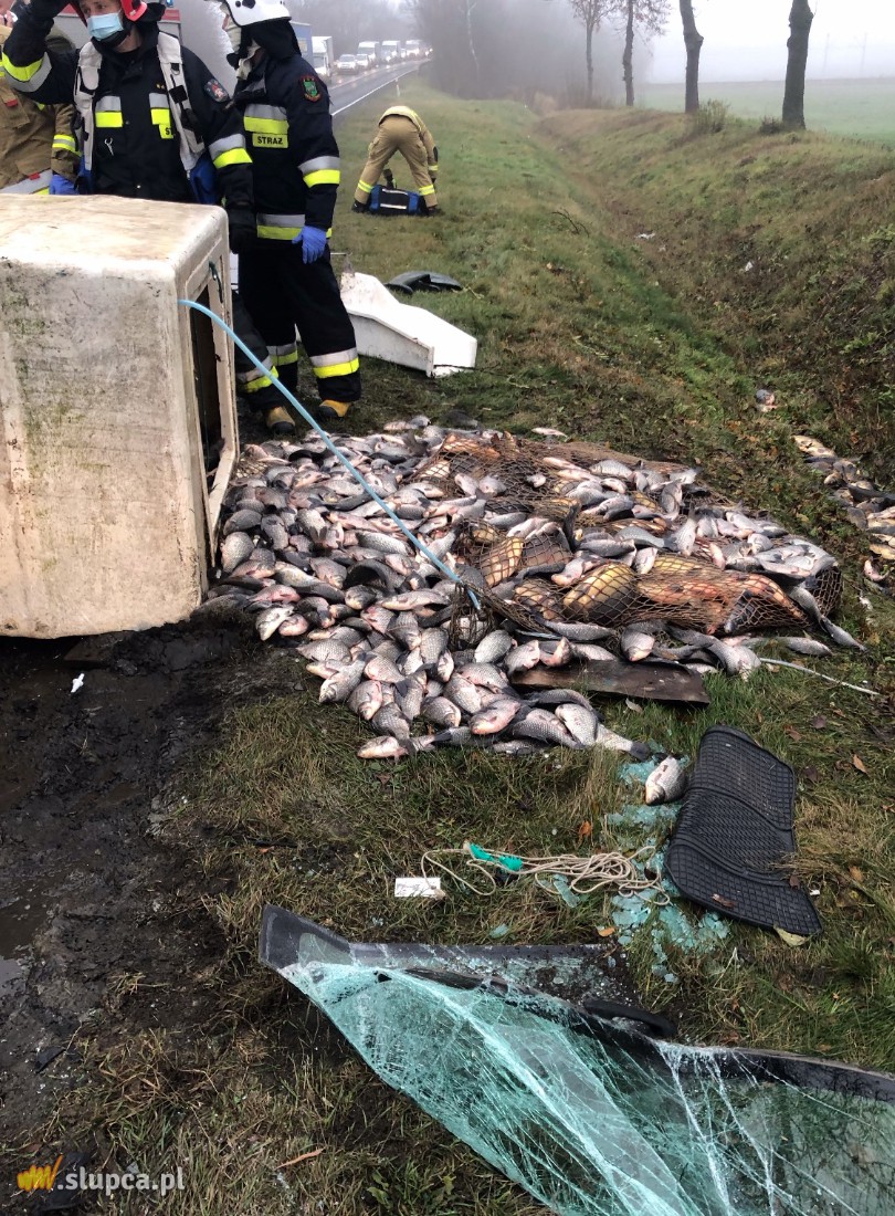 Wypadek na K92. Najbardziej ucierpiały… ryby ZDJĘCIA