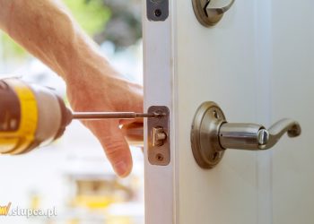 Z polecenia czy Internetu – gdzie szukać specjalistów w branży usług?