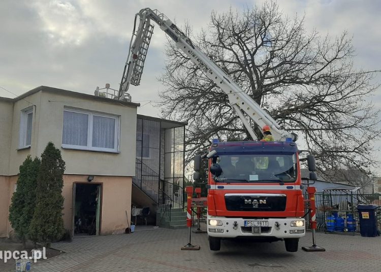 Kolejny pożar w Cieninie