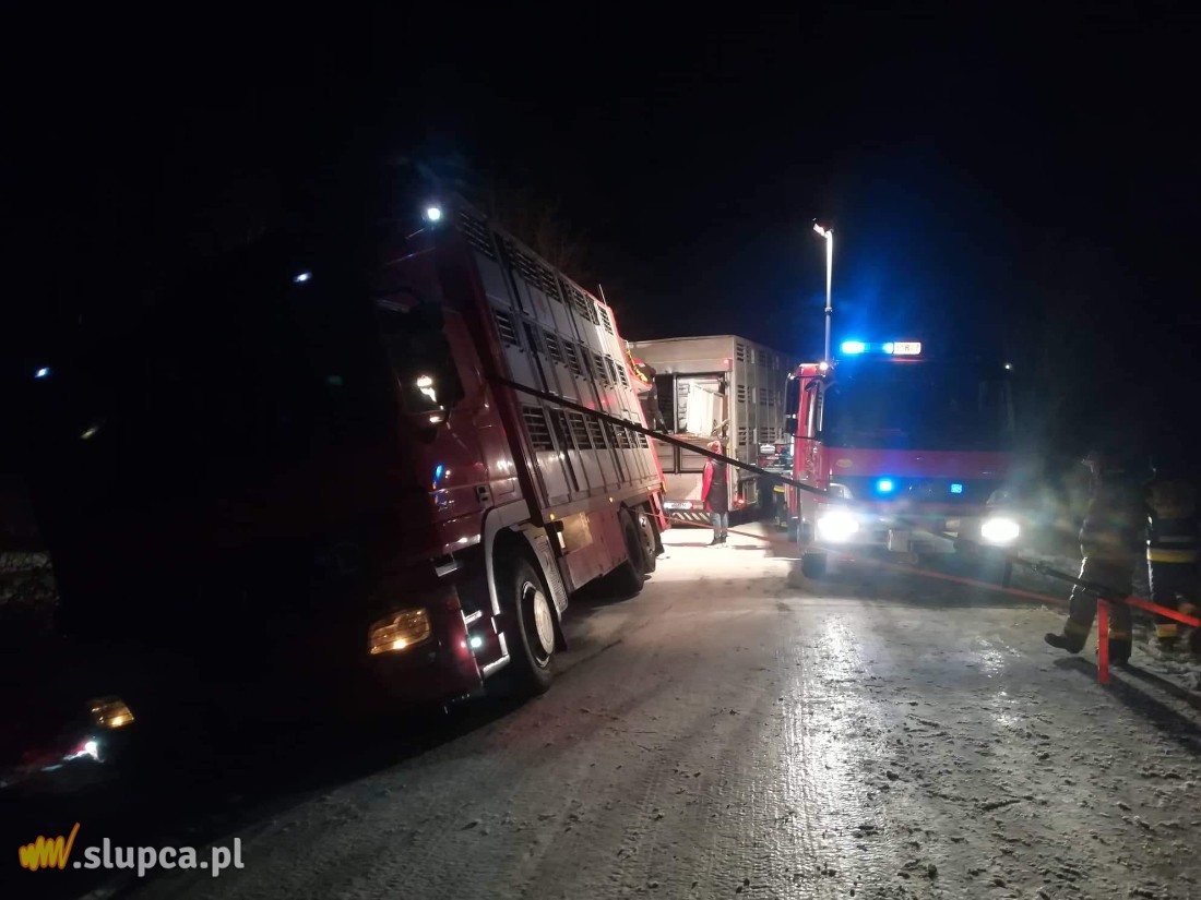 Ciężarówka ze zwierzętami w rowie. Pomogli strażacy