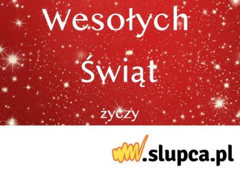 ____________________________________________