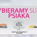 Wybieramy SUPER PSIAKA. Trwa głosowanie