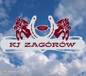 Klub Jeździecki w Zagórowie pozyskał dotację