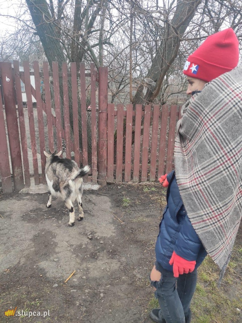 Martyna w Damach i wieśniaczkach