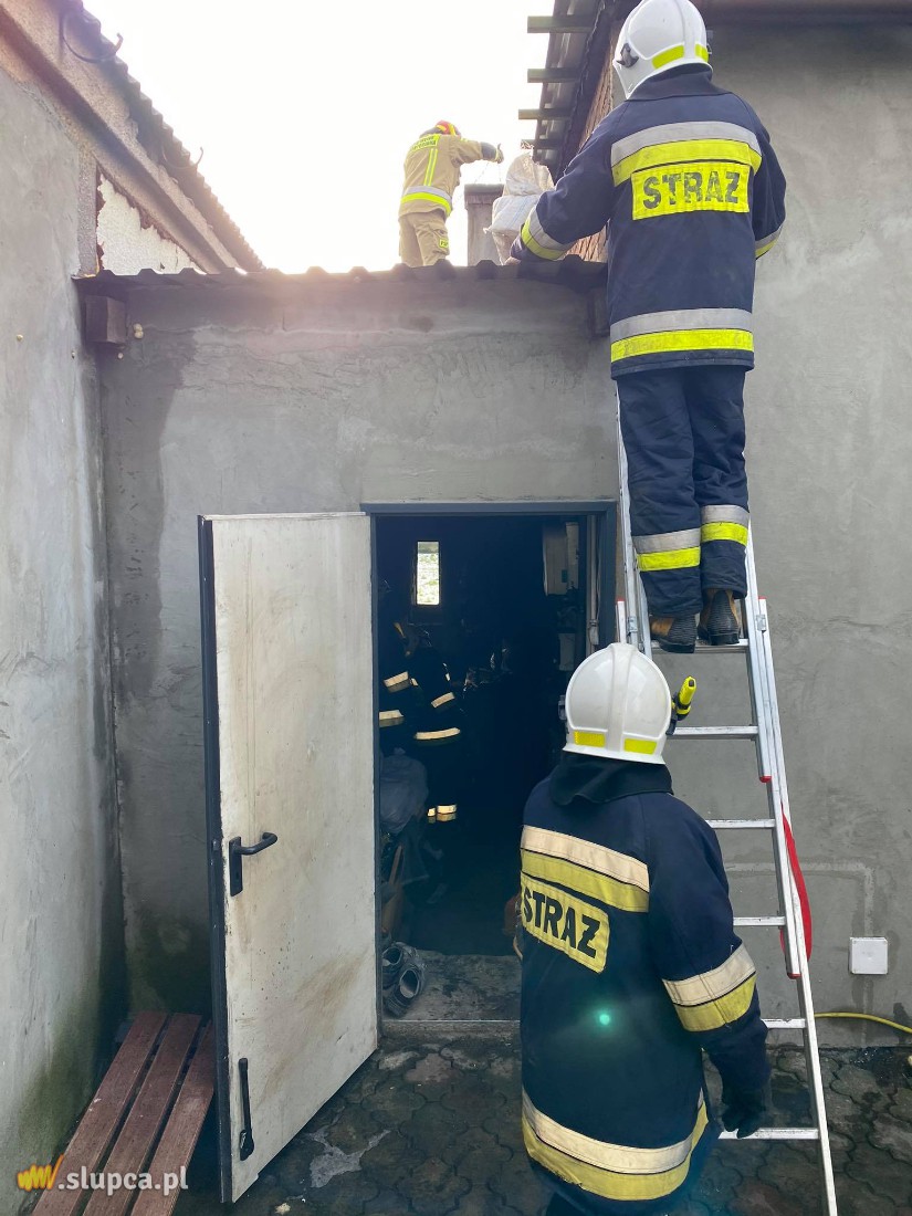 Pożar w Cieninie Zabornym. Zdjęcia z akcji