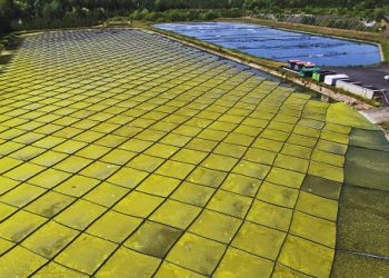 Ogłosili przetarg na budowę oczyszczalni ścieków