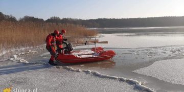 Strażacy ratowali łabędzie