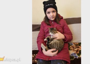 Niezwykłe przygody kota podróżnika