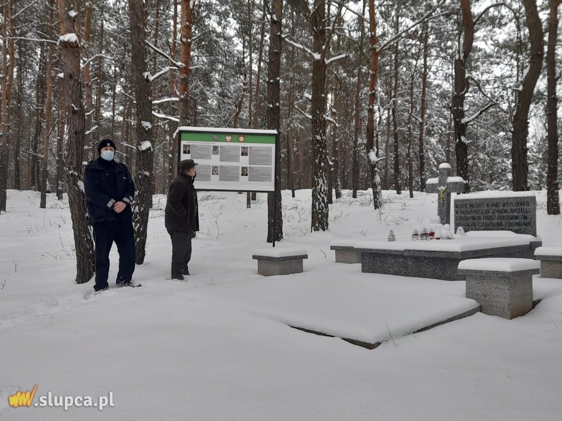 Policjanci prowadzili działania ze Strażą Leśną