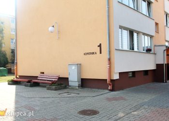 Sprawca tragedii uniknie więzienia. Dzięki pandemii