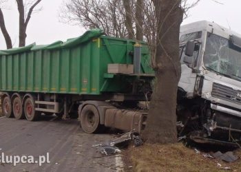 Ciężarówka uderzyła w drzewo