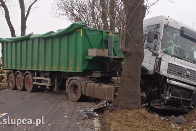 Ciężarówka uderzyła w drzewo